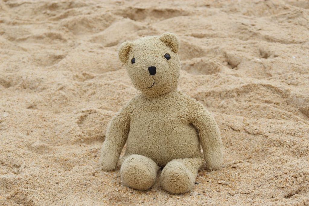 teddy bear